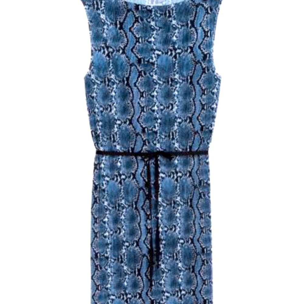 H&M Pleated Snake Print Dress